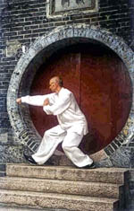 Slawomir Milczarek kungfu